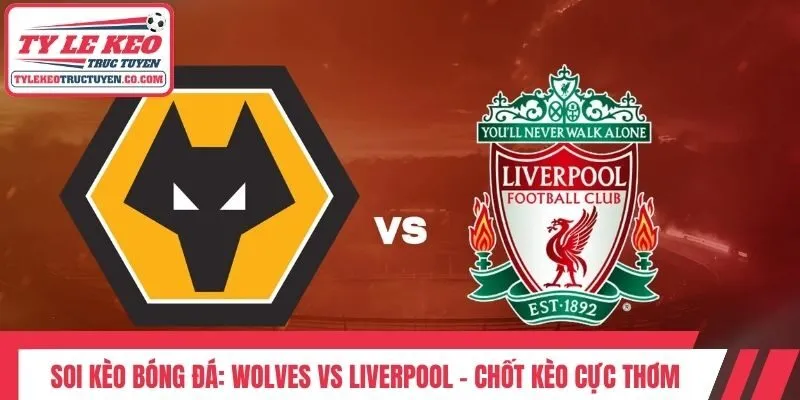 Soi Kèo Bóng Đá: Wolves Vs Liverpool - Chốt Kèo Cực Thơm