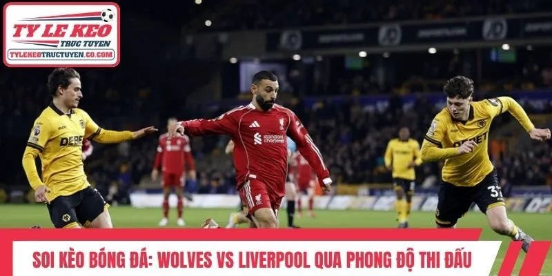Soi kèo bóng đá: Wolves Vs Liverpool qua phong độ thi đấu