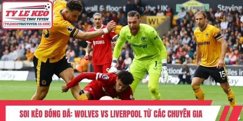 Soi kèo bóng đá: Wolves Vs Liverpool từ các chuyên gia