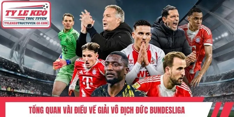 Tổng quan vài điều về giải vô địch Đức Bundesliga