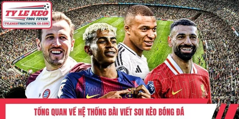 Tổng quan về hệ thống bài viết soi kèo bóng đá