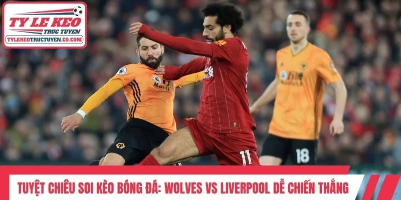Tuyệt chiêu Soi kèo bóng đá: Wolves Vs Liverpool dễ chiến thắng
